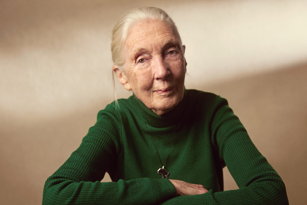 Jane Goodall in 2024. 
