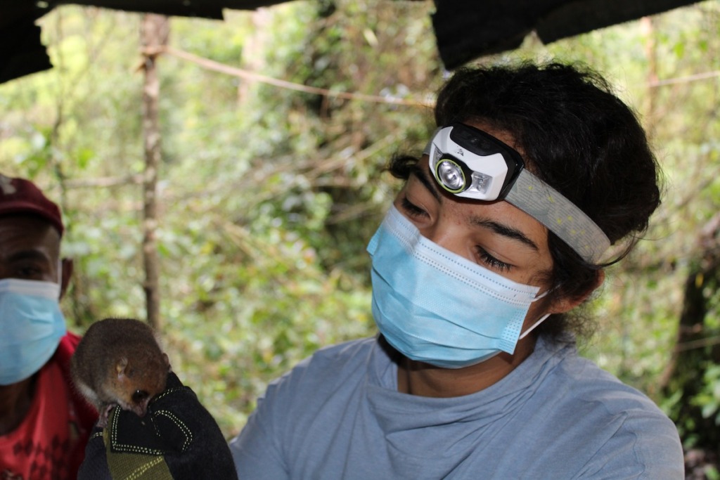 Vero holding a captured mouse lemur
