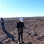 How do you restore plants in the deserts of Argentina?