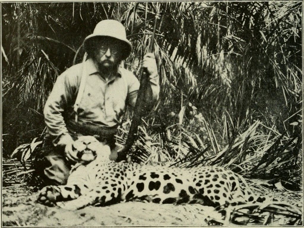 Teddy Roosevelt with a jaguar he hunted