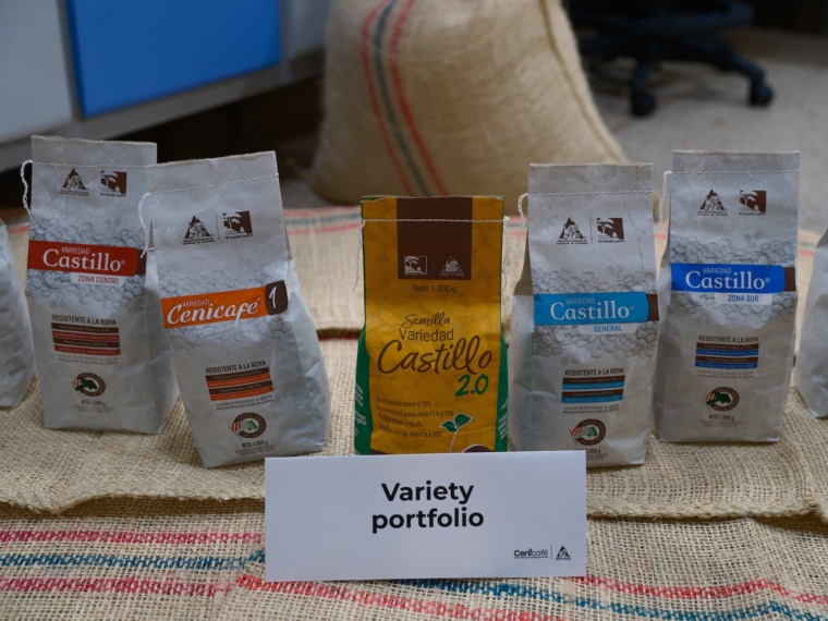 Different varieties of coffee from Columbia.