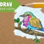 How to draw a lilac-breasted roller