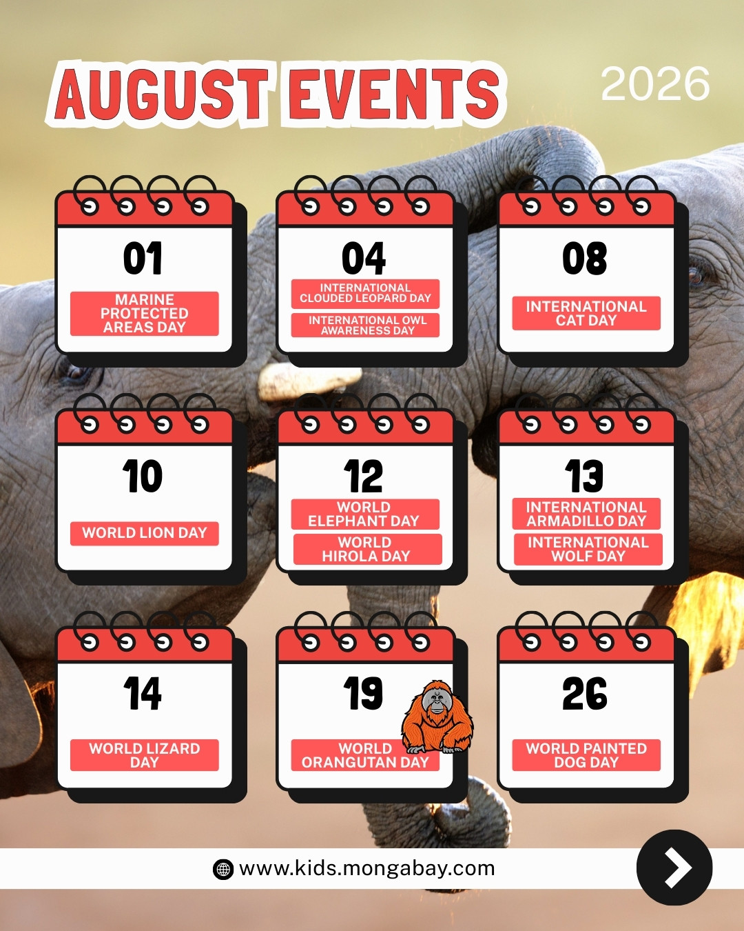 August environment days