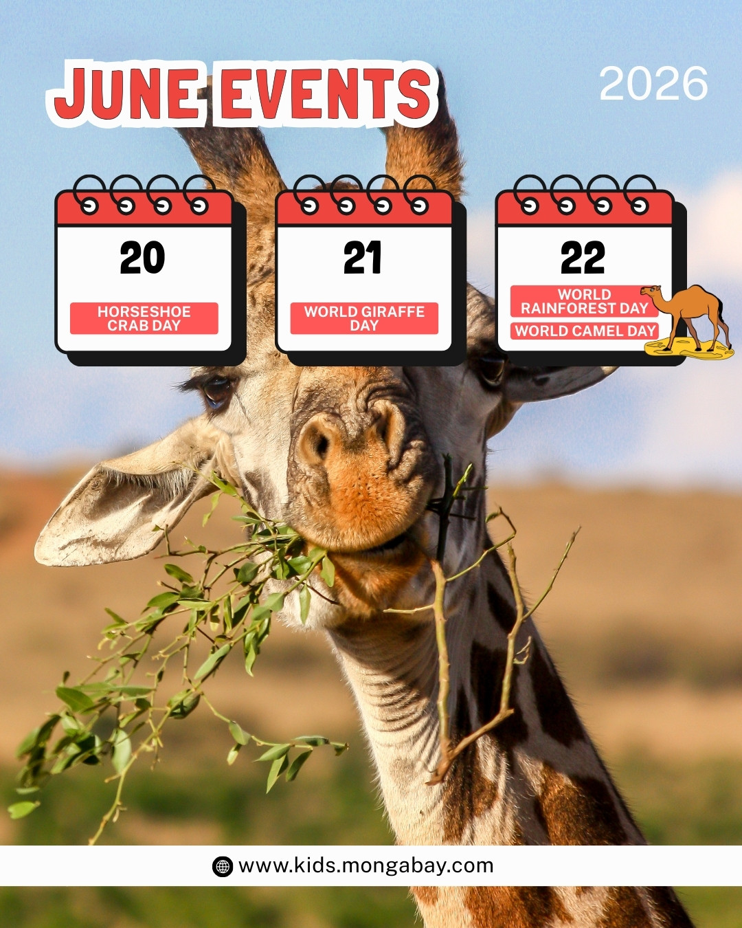 June environment days