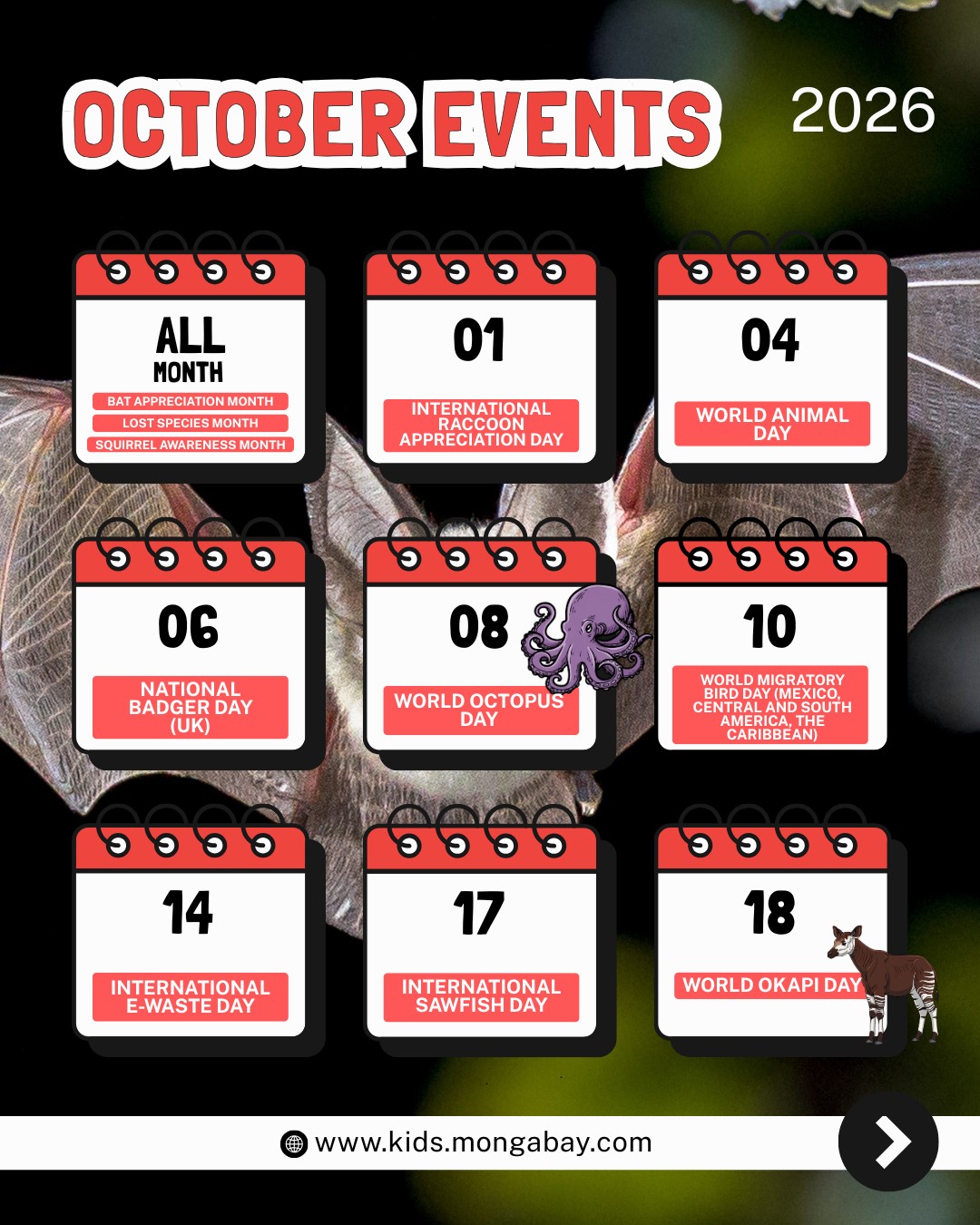 October environment days