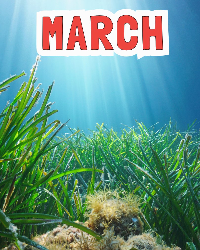 March