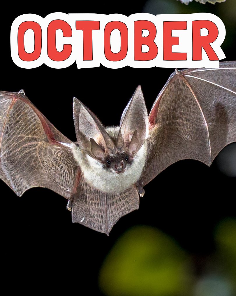 October
