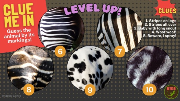 Clue me in: markings mystery puzzle