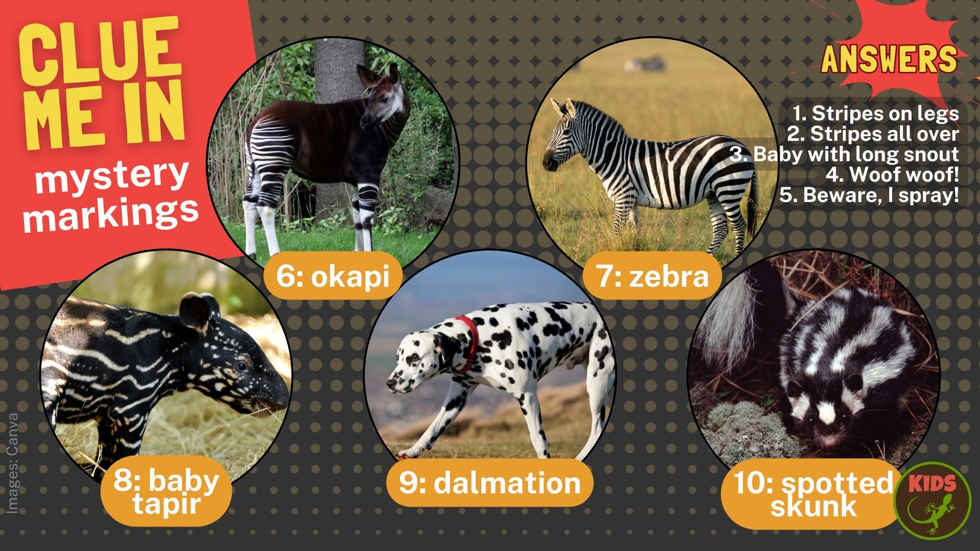 Clue me in: markings mystery puzzle