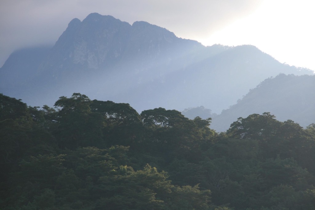 These are the Udzungwa Mountains, one of the mountain chains that make up the Eastern Arc Mountains