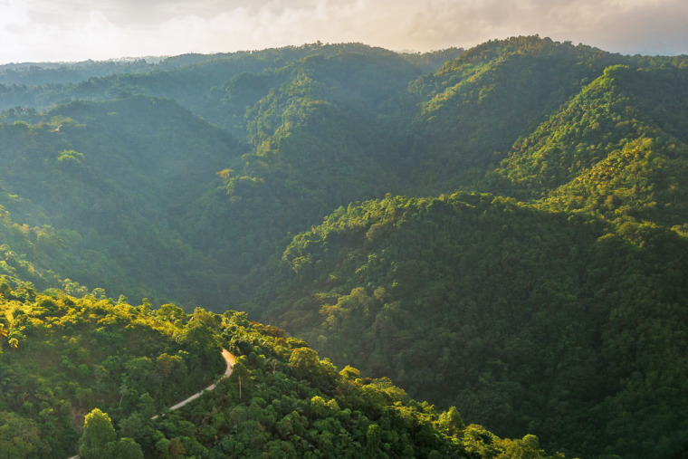 In the forested highlands of Mindanao Island in the southern Philippines, Mingay Dakias knows exactly where to find medicine. Image by Aldous Mariano Cariño via Wikimedia Commons (CC BY-SA 4.0).