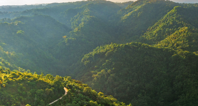 In the forested highlands of Mindanao Island in the southern Philippines, Mingay Dakias knows exactly where to find medicine. Image by Aldous Mariano Cariño via Wikimedia Commons (CC BY-SA 4.0).