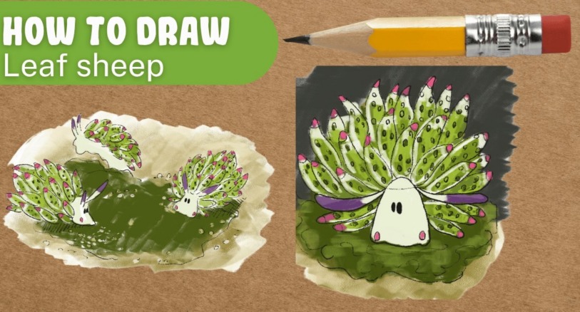 How to draw a leaf sheep activity