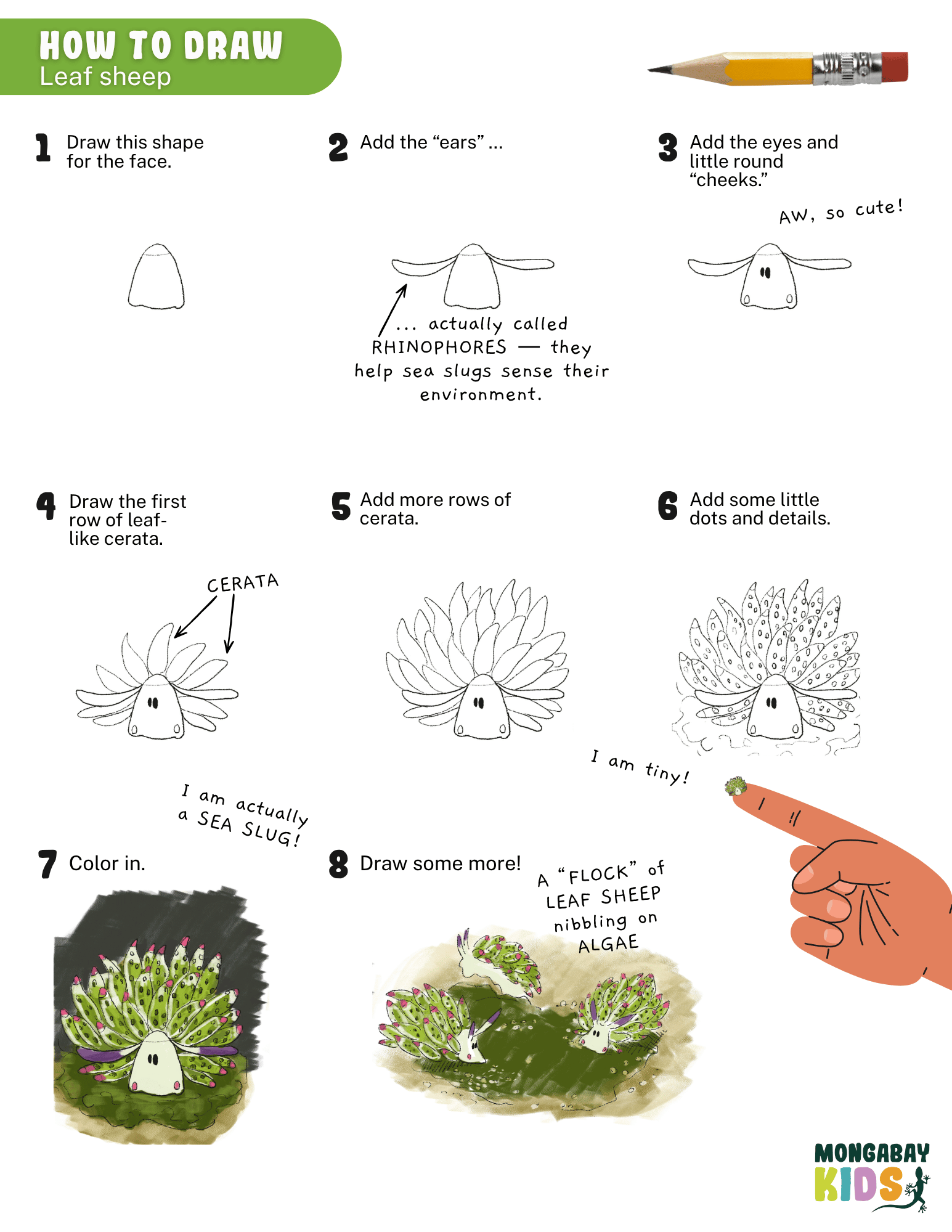 How to draw a leaf sheep art activity