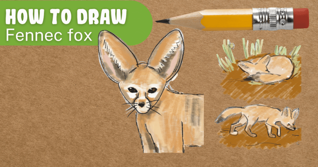 How to draw a fennec fox