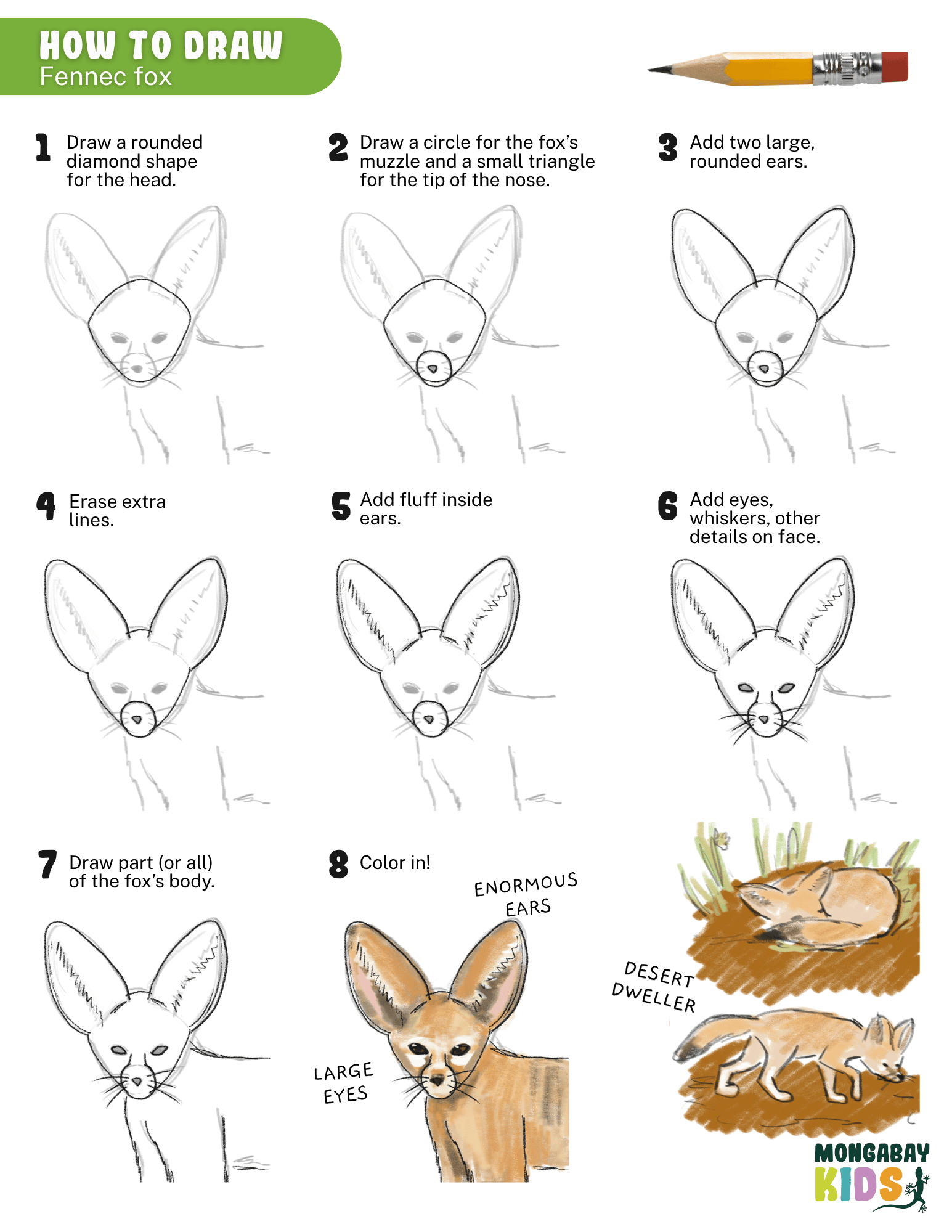 How to draw fennec fox 2