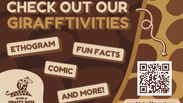 World Giraffe Week 2026 activities graphic
