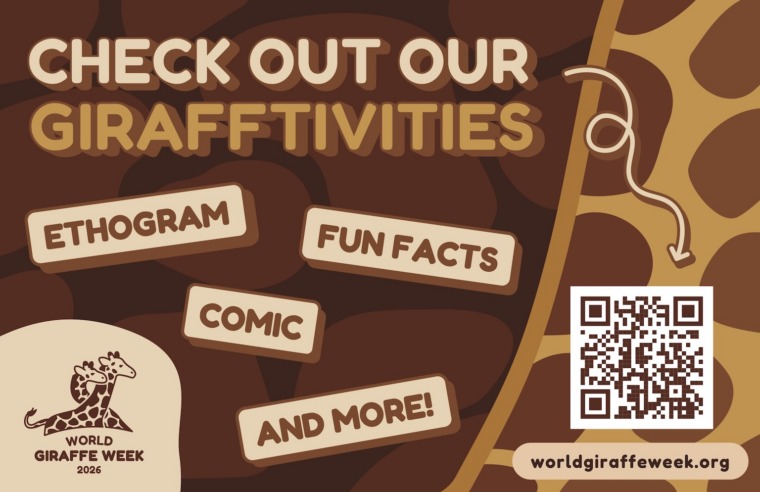 World Giraffe Week 2026 activities graphic