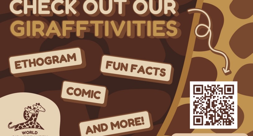 World Giraffe Week 2026 activities graphic