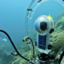Why scientists are listening to fish ‘talk’